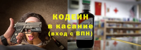 ГАЛЛЮЦИНОГЕННЫЕ ГРИБЫ Гусев