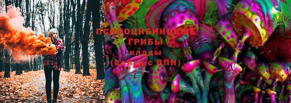 ГАЛЛЮЦИНОГЕННЫЕ ГРИБЫ Гусев