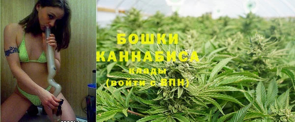 ГАЛЛЮЦИНОГЕННЫЕ ГРИБЫ Гусев