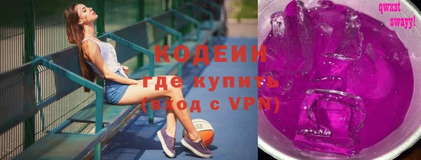 ГАЛЛЮЦИНОГЕННЫЕ ГРИБЫ Гусев