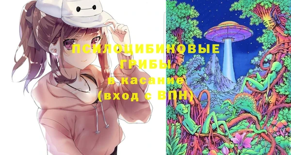 jwh Гусиноозёрск